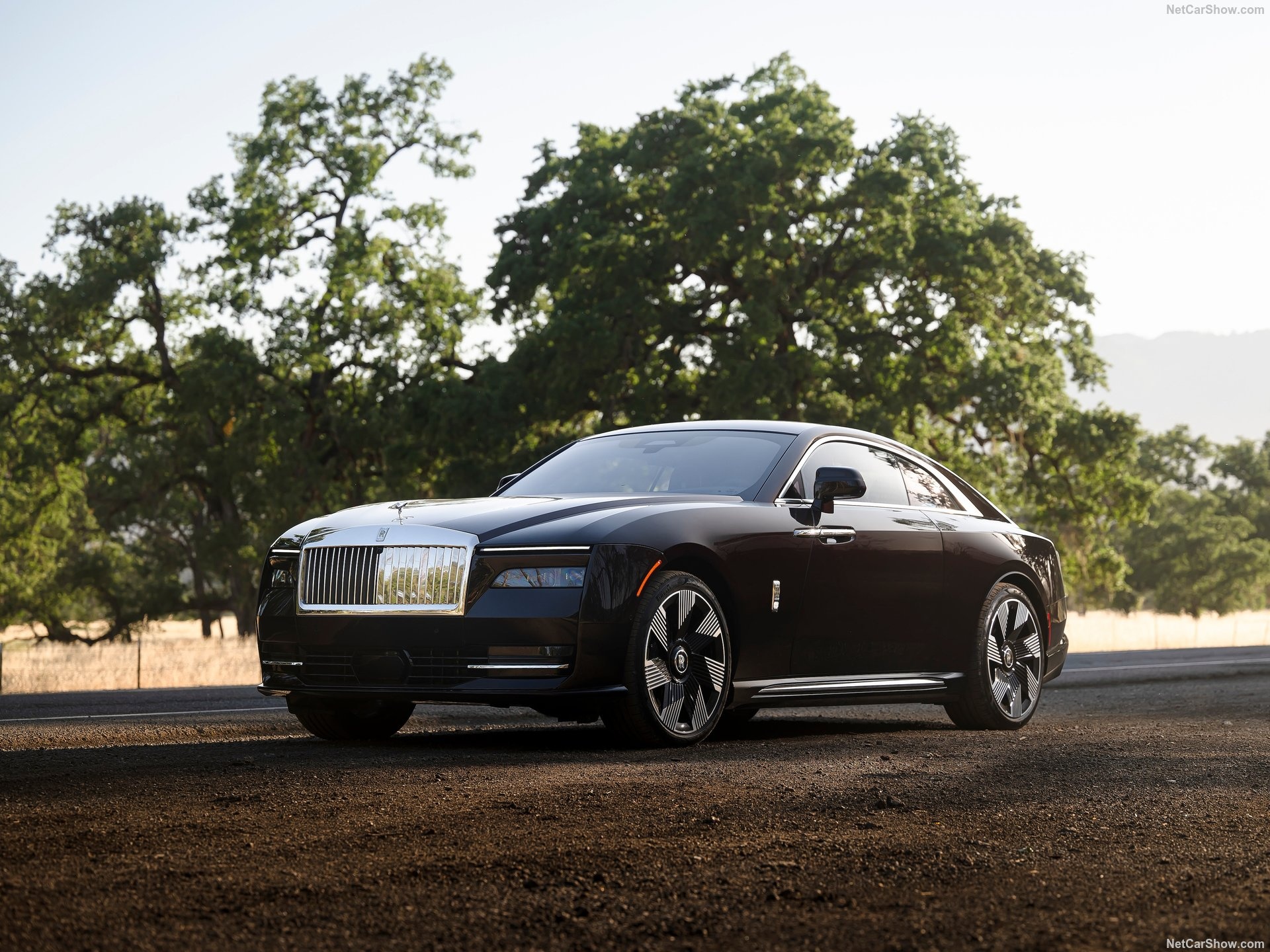 Rolls-Royce Spectre Detail
