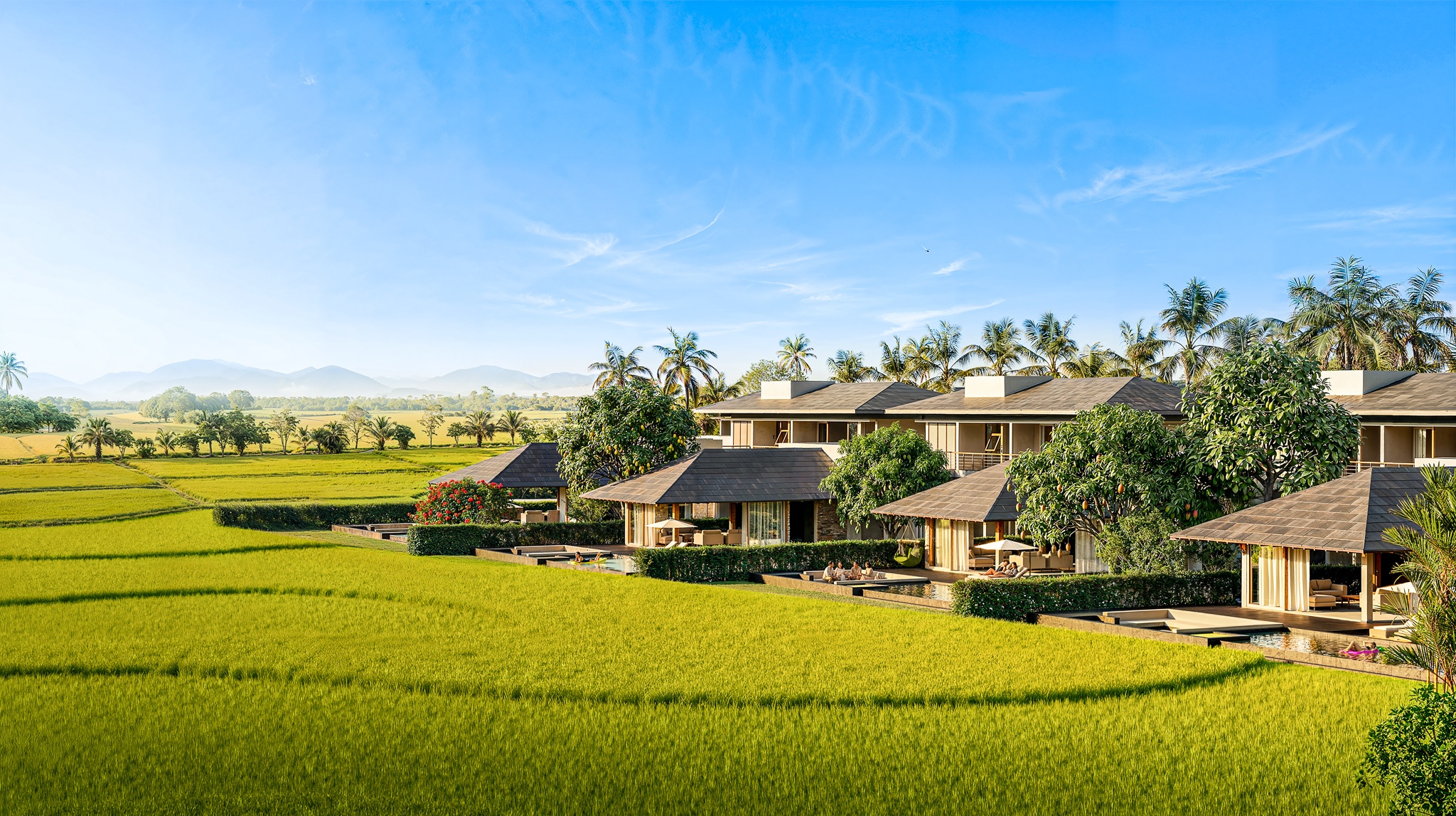 Saigon Farm Resort - Không gian điền trang xanh mát